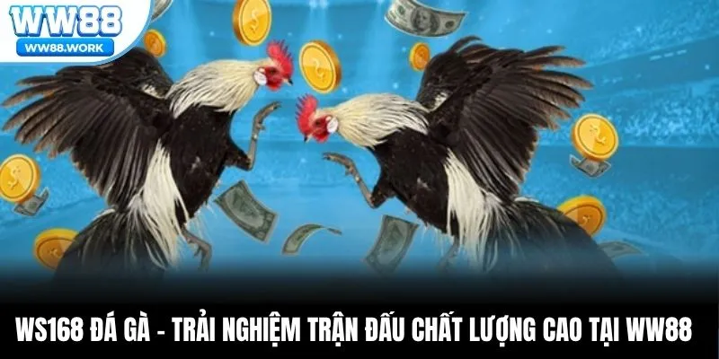 Ws168 Đá Gà – Trải Nghiệm Trận Đấu Chất Lượng Cao Tại WW88